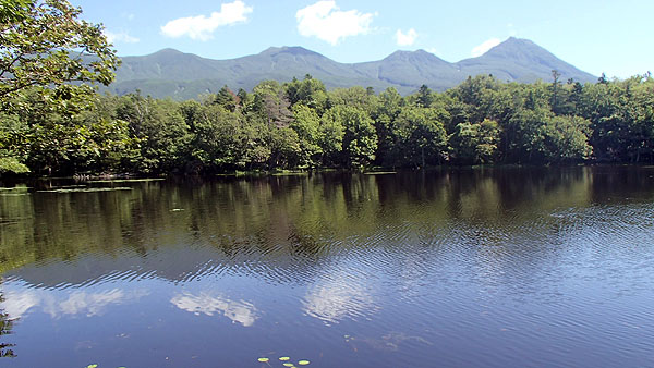 知床五湖の散策