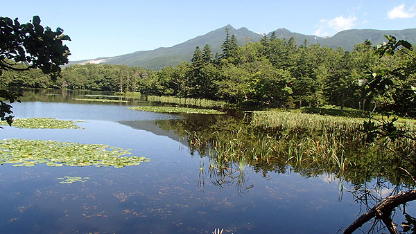 知床五湖の散策
