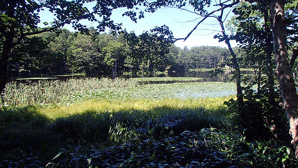 知床五湖の散策