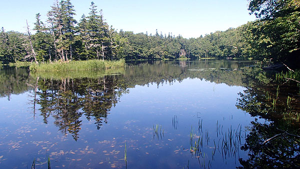 知床五湖の散策