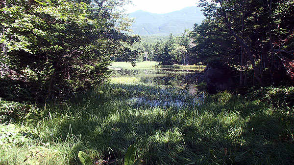 知床五湖の散策