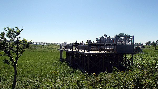 知床五湖の散策