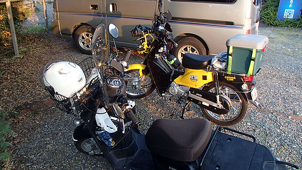 ベンリー１１０とクロスカブ