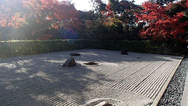 宝徳寺の枯山水