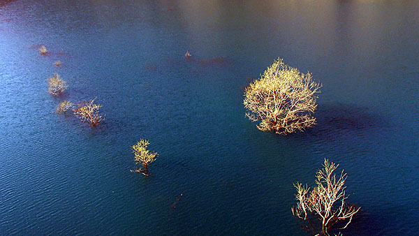 美しく珍しい景色