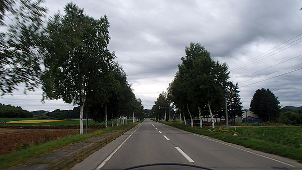 美幌峠へと向かう国道２４３号線