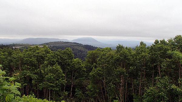 ワインディングロード